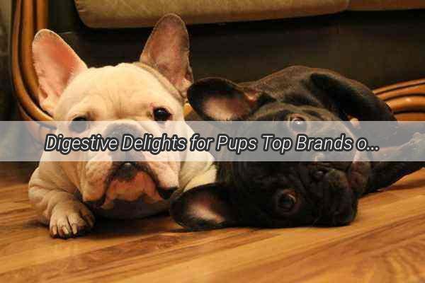 Digestive Delights for Pups Top Brands of Doggie Gastro Treats Unveiled